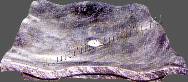 Раковины