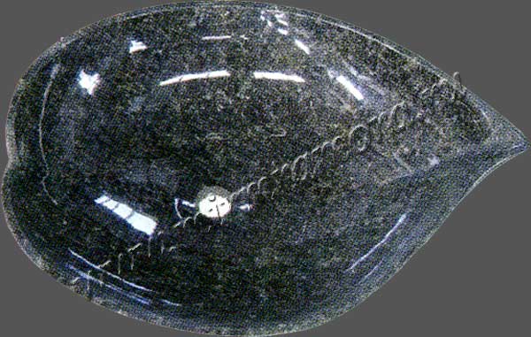 Раковины
